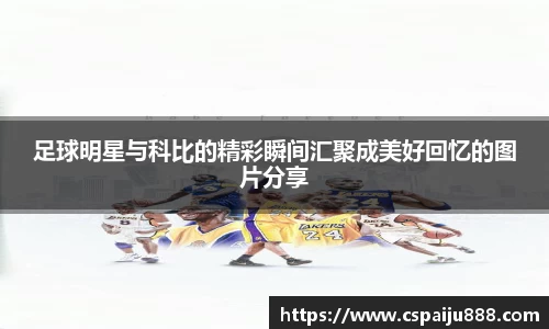 必一运动b-sports平台