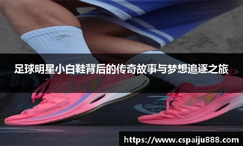 必一运动b-sports官方网站